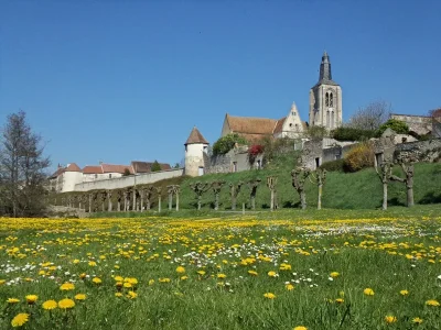 Fete-de-la-Saint-Aignan-8211-21-11-2026-8211-Bonny-sur-Loire_3770307