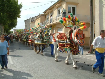 Fete-de-la-Saint-Roch-des-Paluds-8211-06-09-2025-8211-Noves_2734294
