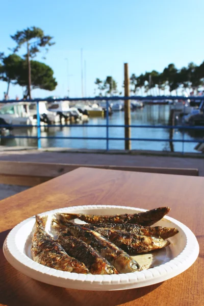 Fete-de-la-Sardinade-8211-15-08-2025-8211-Andernos-les-Bains_2889435