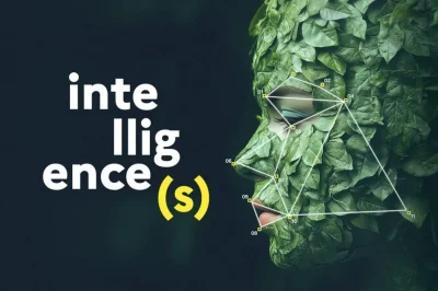 Fete-de-la-Science-Limoges-Metropole-8211-03-10-2025-8211-Limoges_3144364