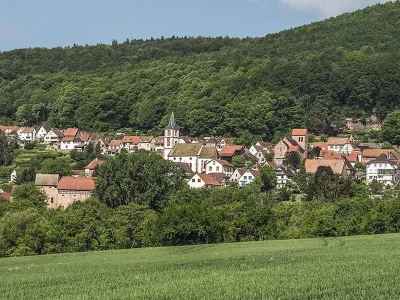 Fete-de-la-chataigne-8211-19-10-2025-8211-Oberbronn_2948228