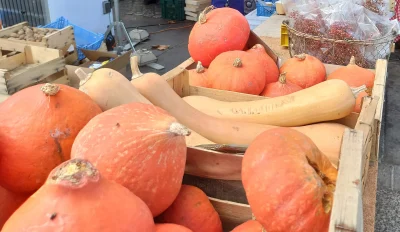 Fete-de-la-citrouille-a-Martigues-8211-Martigues_3146465