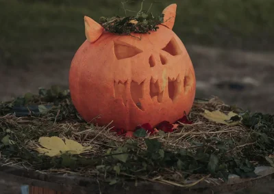 Fete-de-la-citrouille-et-Halloween-a-la-Cueillette-de-l039Aragnon-8211-24-10-2026-8211-Montardon_3535226