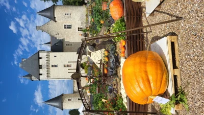 Fete-de-la-citrouille-et-de-l039automne-au-Chateau-du-Rivau-8211-11-10-2025-8211-Lemere_2363457