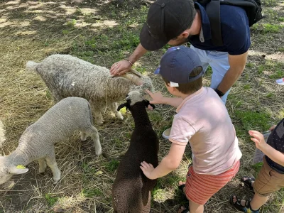 Fete-de-la-ferme-Les-Minis-Pattes-8211-29-06-2025-8211-Cazals_2717642
