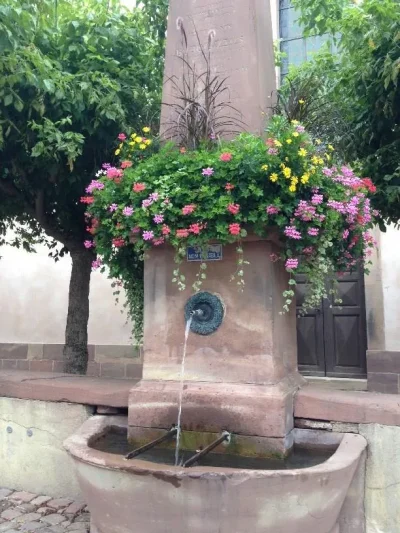 Fete-de-la-fontaine-8211-06-07-2025-8211-Wangen_2294087