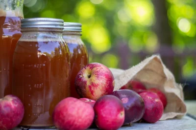 Fete-de-la-pomme-et-du-cidre-8211-04-10-2025-8211-Cublac_2977808