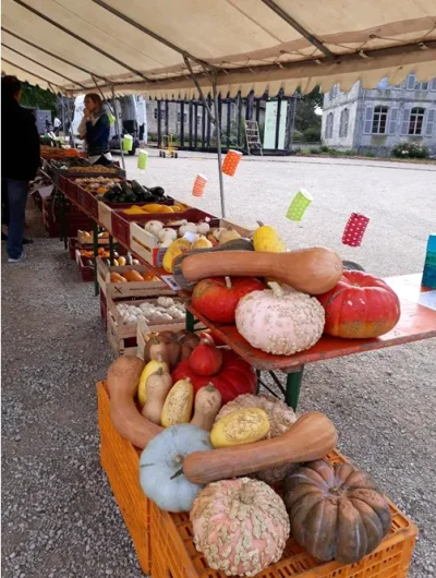 Fete-des-legumes-8211-20-09-2026-8211-Montiers-sur-Saulx_3592902