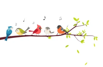 Fete-des-oiseaux-8211-16-05-2025-8211-Aixe-sur-Vienne_2612291