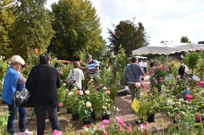 Fete-des-plantes-a-Pompadour-8211-26-09-2026-8211-Arnac-Pompadour_3472925