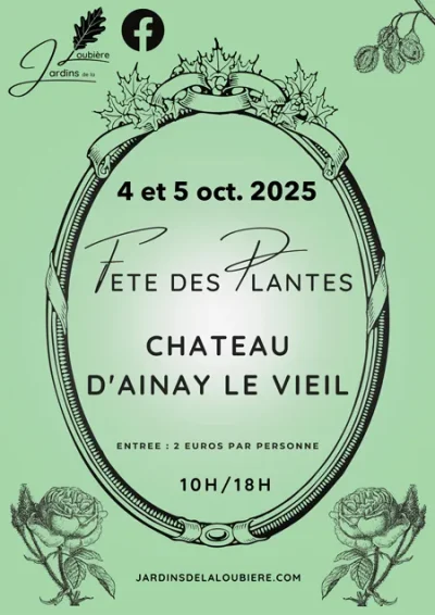 Fete-des-plantes-dans-la-Haute-Cour-du-Chateau-8211-04-10-2025-8211-Ainay-le-Vieil_2584726