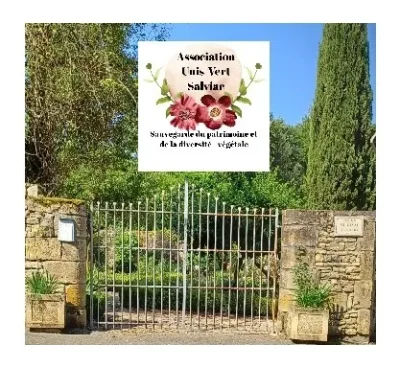 Fete-des-plantes-rares-et-de-collections-8211-17-05-2026-8211-Salviac_3316214