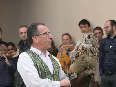 Fete-des-rapaces-et-quotSpectacle-de-fauconneriequot-a-Terres-d039Oiseaux-8211-22-03-2026-8211-Braud-et-Saint-Louis_3472294