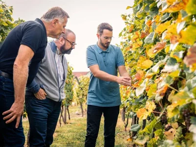 Fete-des-vendanges-aux-domaine-Pierre-Adam-8211-14-09-2025-8211-Ammerschwihr_2948365