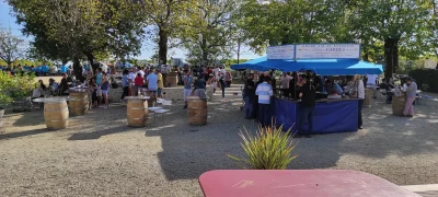 Fete-des-vendanges-et-randonnee-au-Chateau-de-Garbes-8211-12-10-2025-8211-Gabarnac_3126402