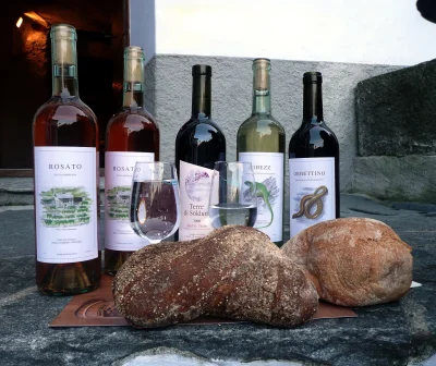 Fete-du-Pain-du-Vin-et-du-Fromage-8211-07-09-2025-8211-Evaux-les-Bains_2901937