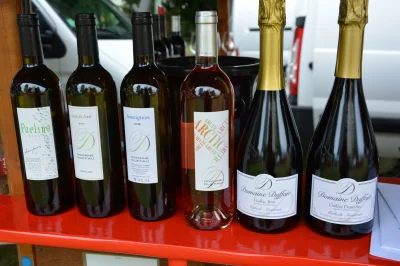 Fete-du-Vin-et-de-la-Gastronomie-Foire-aux-Vins-8211-06-08-2026-8211-Lesparre-Medoc_3468347