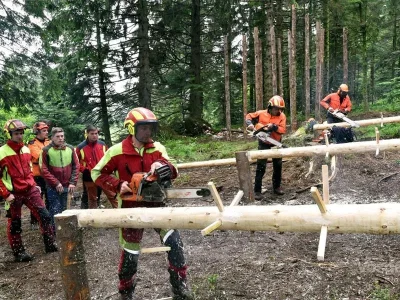 Fete-du-bois-8211-29-05-2026-8211-Sapois_3087224