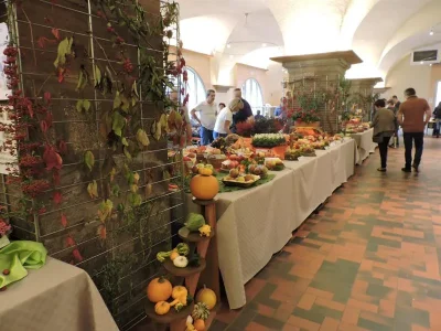 Fete-du-raisin-8211-Expositions-8211-11-10-2025-8211-Molsheim_2995217