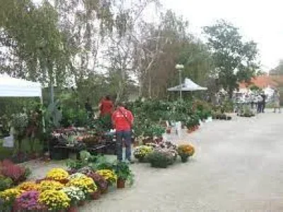 Fete-horticole-de-Claracq-8211-19-10-2025-8211-Claracq_3166109