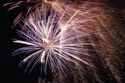 Fete-nationale-a-Bonny-sur-Loire-defile-retraite-aux-flambeaux-bal-et-feu-d039artifice-8211-14-07-2026-8211-Bonny-sur-Loire_3610495