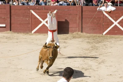 Fetes-locales-8211-11-07-2025-8211-Saint-Cricq-Chalosse_2465095