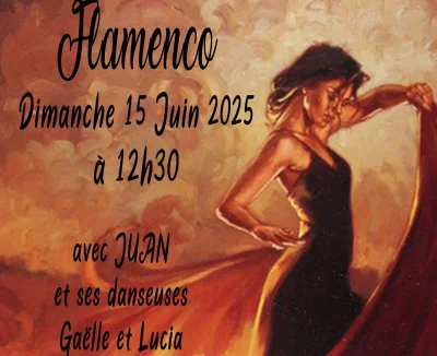Flamenco-8211-15-06-2025-8211-Orthez_2721249