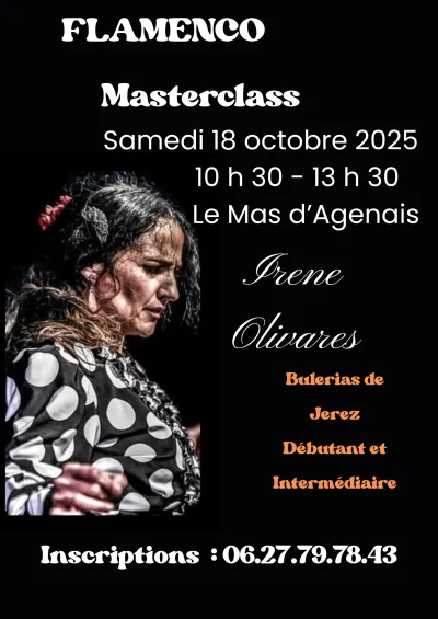 Flamenco-8211-Masterclass-au-salon-La-Cuadra-8211-18-10-2025-8211-Le-Mas-d039Agenais_3107596