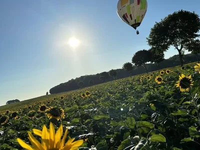 Fly-Montgolfiere-8211-Vigneulles-les-Hattonchatel_3233392