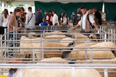 Foire-Agricole-de-Sedan-8211-05-09-2025-8211-Sedan_2104707