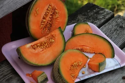 Foire-aux-melons-8211-20-08-2026-8211-Saint-Gilles_3764292
