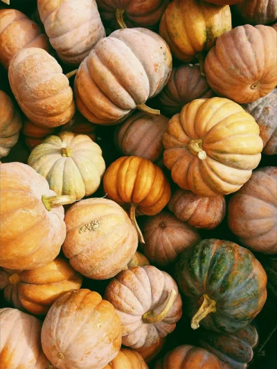 Foire-d039automne-de-Beaulieu-sur-Dordogne-8211-25-10-2026-8211-Beaulieu-sur-Dordogne_3880843
