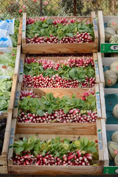Foire-des-Herolles-8211-29-11-2027-8211-Coulonges-les-Herolles_3880841