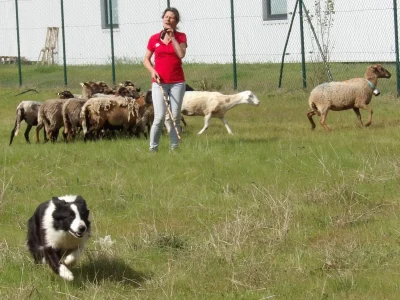 Foire-du-1er-Mai-8211-01-05-2026-8211-Saint-Justin_3473640
