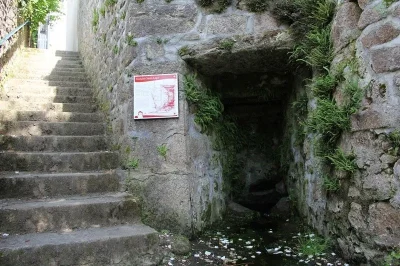 Fontaine-Saint-Leger-8211-Bessines-sur-Gartempe_3516386