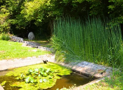 Fontaine-du-Vieux-Saint-Hilaire-8211-Saint-Hilaire-les-Places_2111322