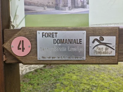 Foret-Domaniale-8211-Saint-Sornin-Lavolps-8211-Saint-Sornin-Lavolps_3433989