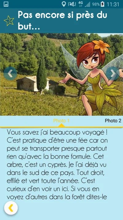 Foret-Domaniale-de-Vouille-Saint-Hilaire-8211-Vouille_3709999