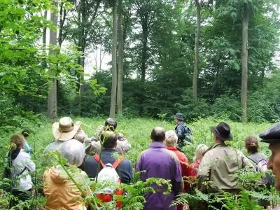 Foret-de-la-Papiermuhle-8211-Hombourg-Haut_2587599