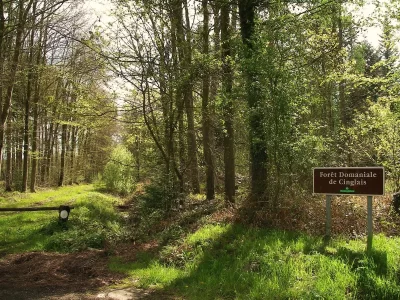 Foret-domaniale-de-Cinglais_613676