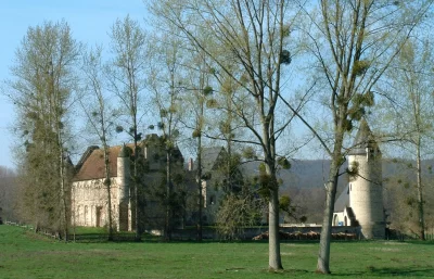 Foret-domaniale-de-Coucy-Basse_998669