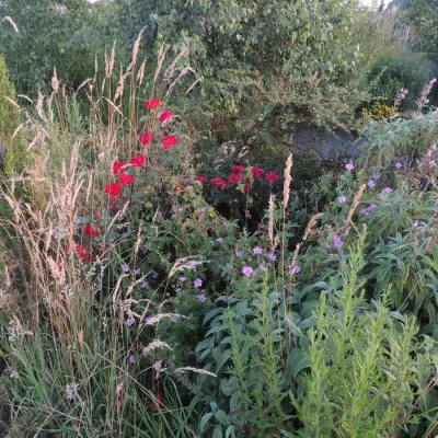 Foret-jardin-du-Landassou-8211-Quins_2235627