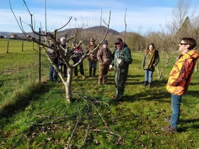 Formation-a-la-taille-de-fructification-des-vergers-8211-Vabres-l039Abbaye_3423254