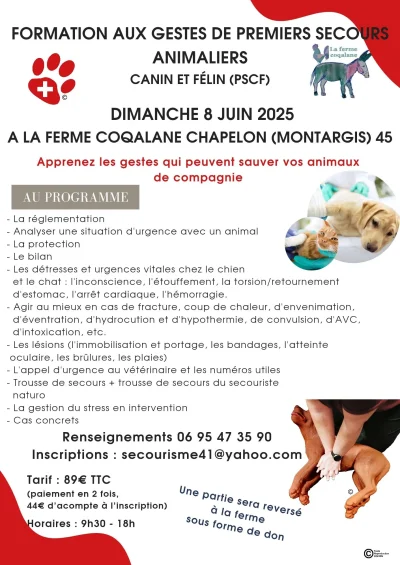 Formation-aux-gestes-de-premiers-secours-animaliers-canin-amp-felin-8211-Chapelon_2264398