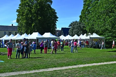 Forum-des-Associations-Blere-8211-La-Croix-8211-30-08-2025-8211-La-Croix-en-Touraine_2706704