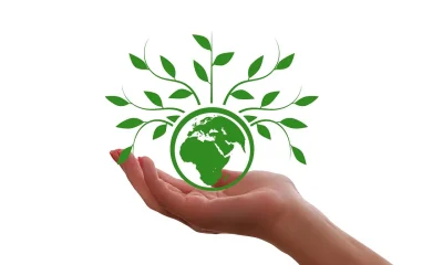 Fresque-du-climat-8211-14-11-2026-8211-Lussat_3769177