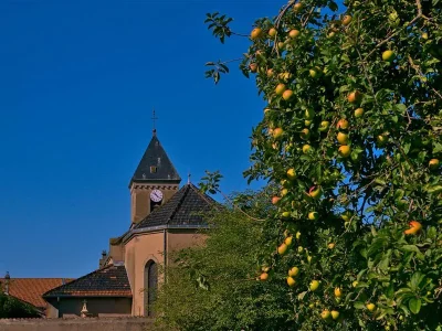 Fresques-8211-Eglise-Saint-Pierre-et-Saint-Paul-8211-Guermange_3899953