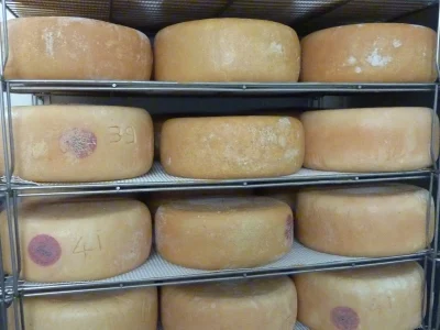 Fromagerie-Arribe-8211-Herrere_2090707