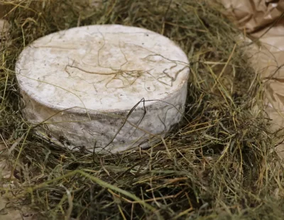 Fromagerie-Jean-Marie-Beaudoin-8211-Villers-sur-Auchy_1486737