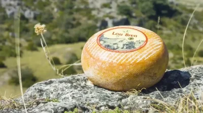 Fromagerie-cooperative-des-Bergers-du-Larzac-8211-La-Cavalerie_2243799